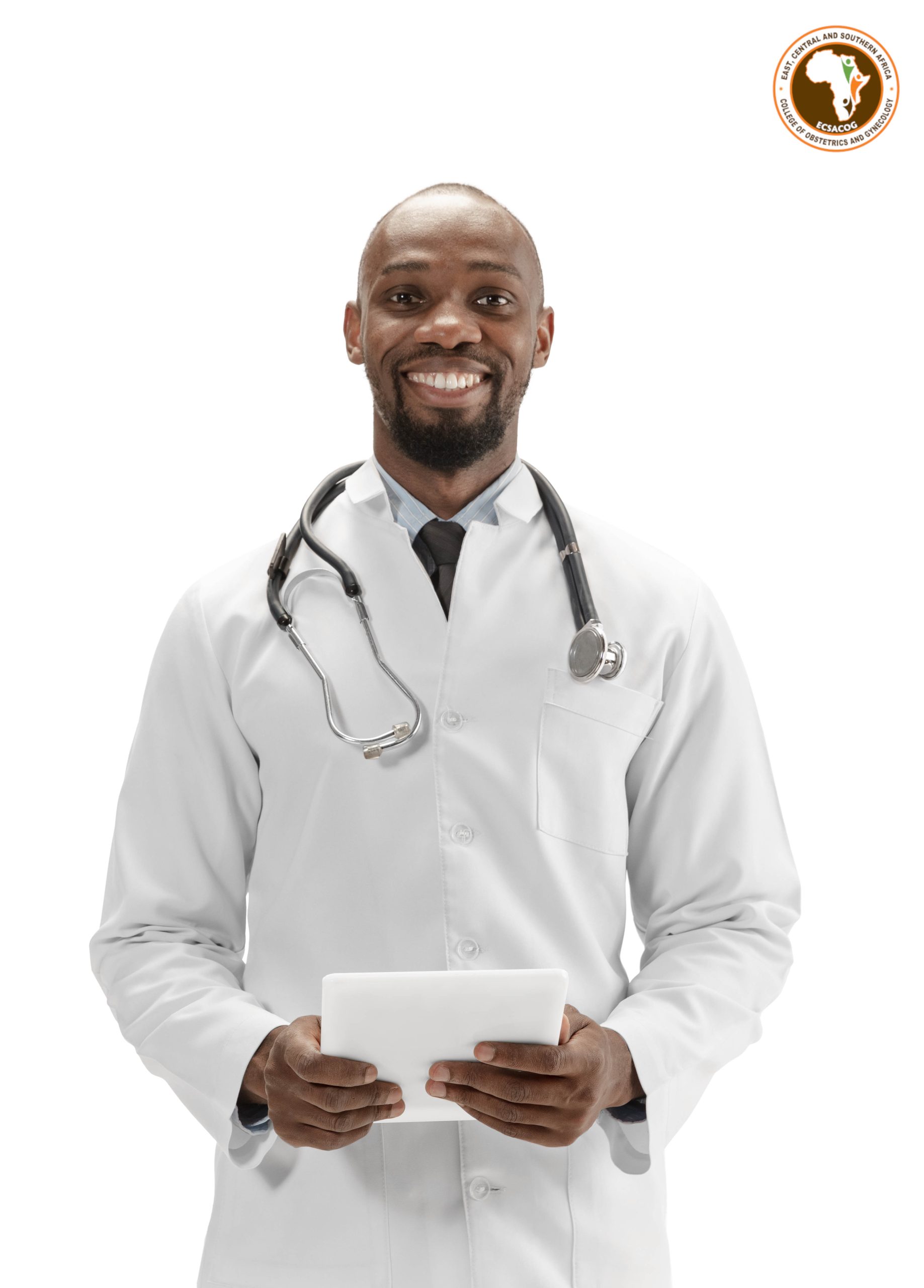 African-american doctor isolated on white background, professional occupation